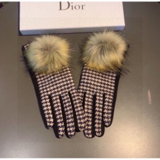 Christian Dior Gloves